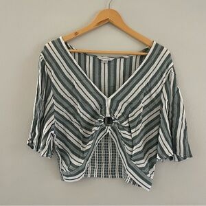 American Eagle Outfitters Green and White Striped Crop Top
